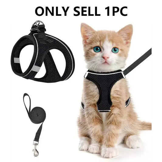 Adjustable Breathable Mesh Pet Harness and Leash Set for Outdoor Walking